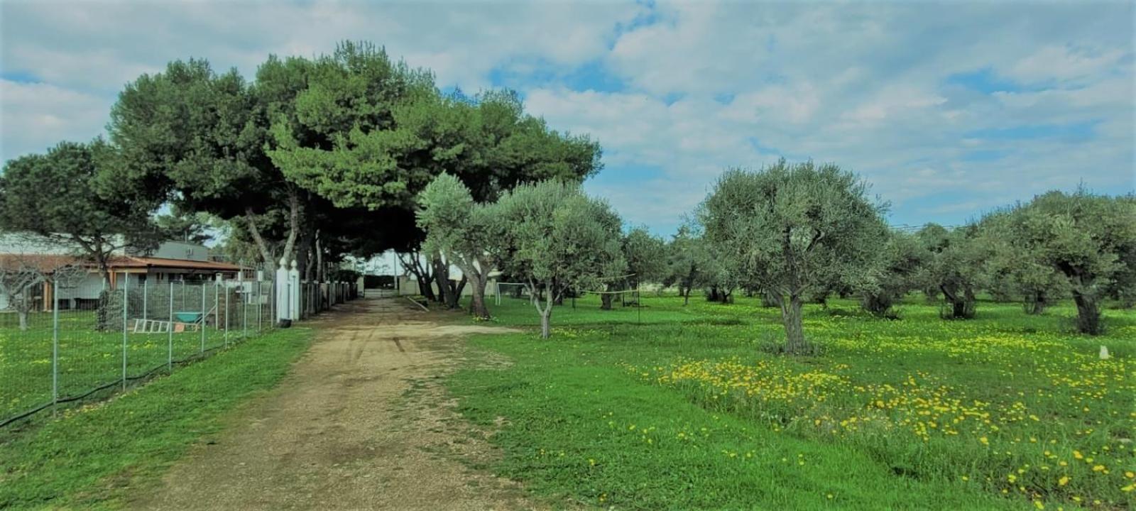 Villa Laura Bari Bagian luar foto