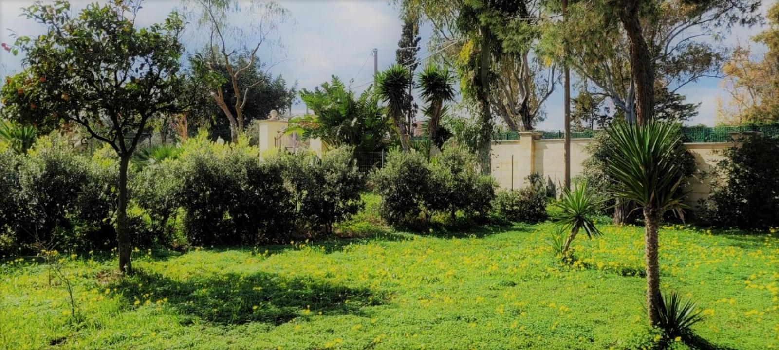 Villa Laura Bari Bagian luar foto