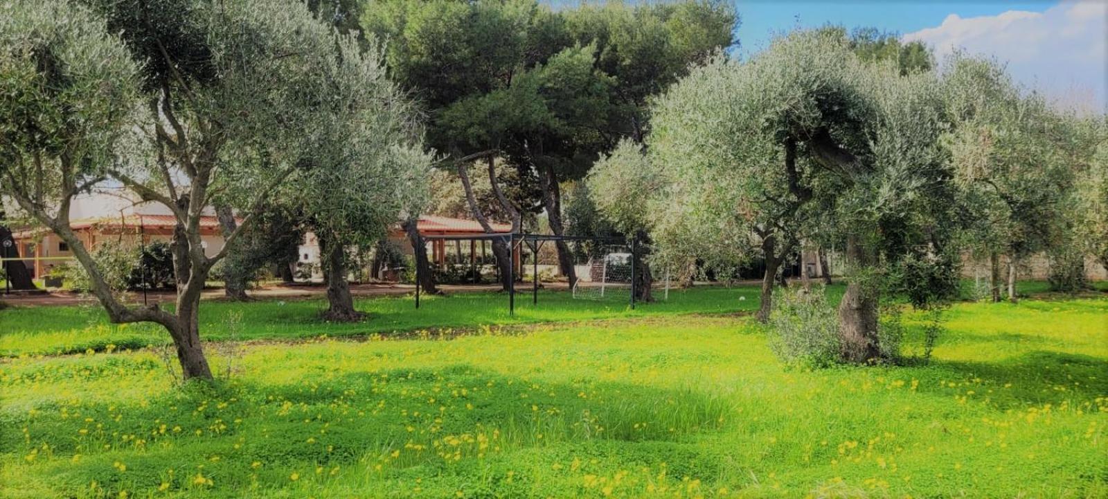 Villa Laura Bari Bagian luar foto